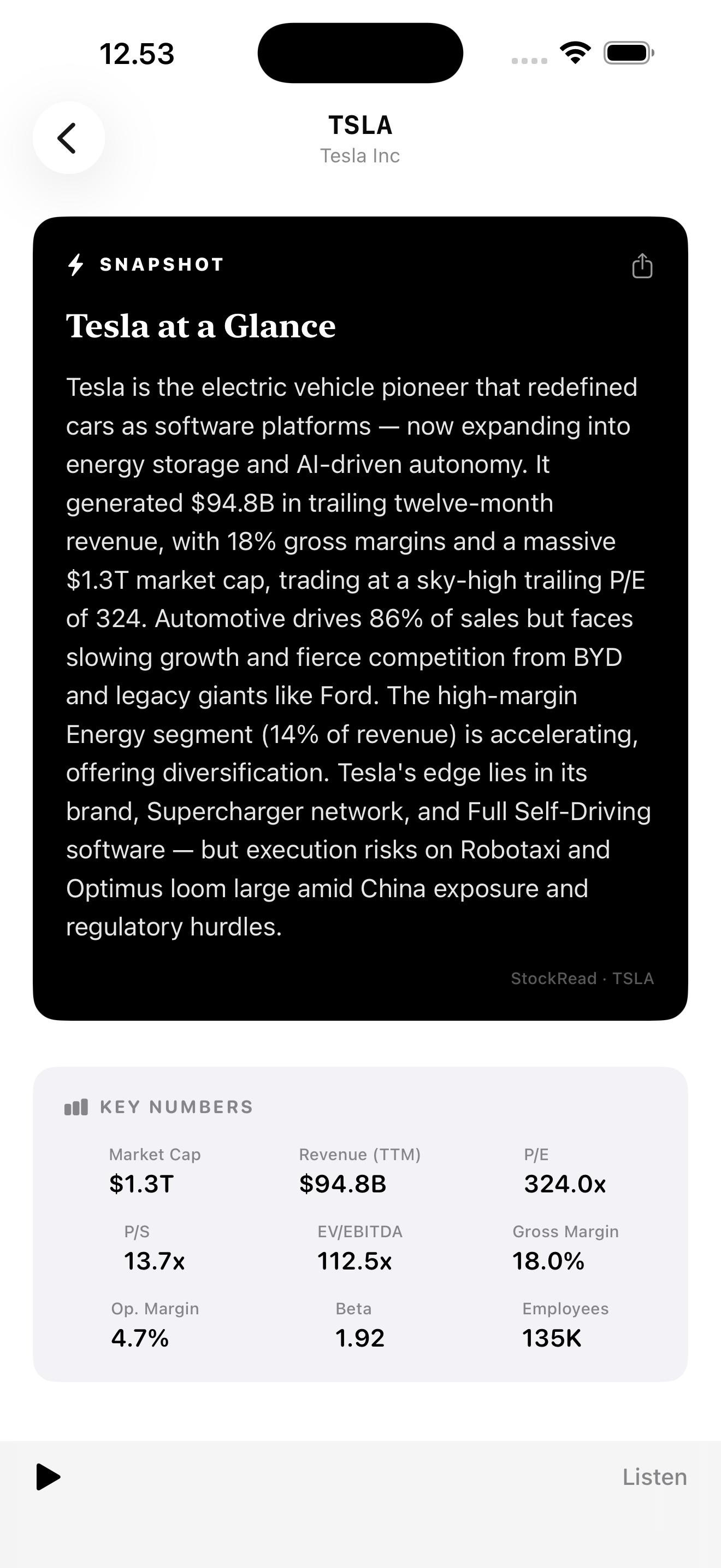 StockRead stock report showing Tesla company snapshot and key financial metrics